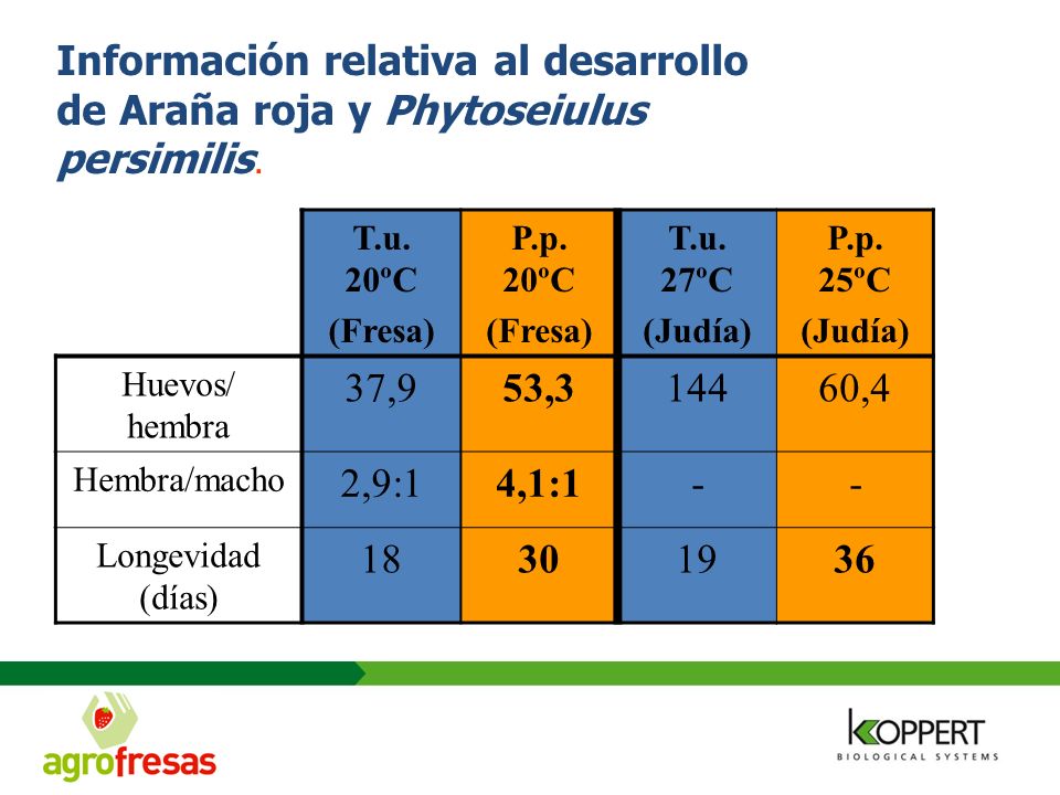 Información relativa al desarrollo de Araña roja y Phytoseiulus persimilis.