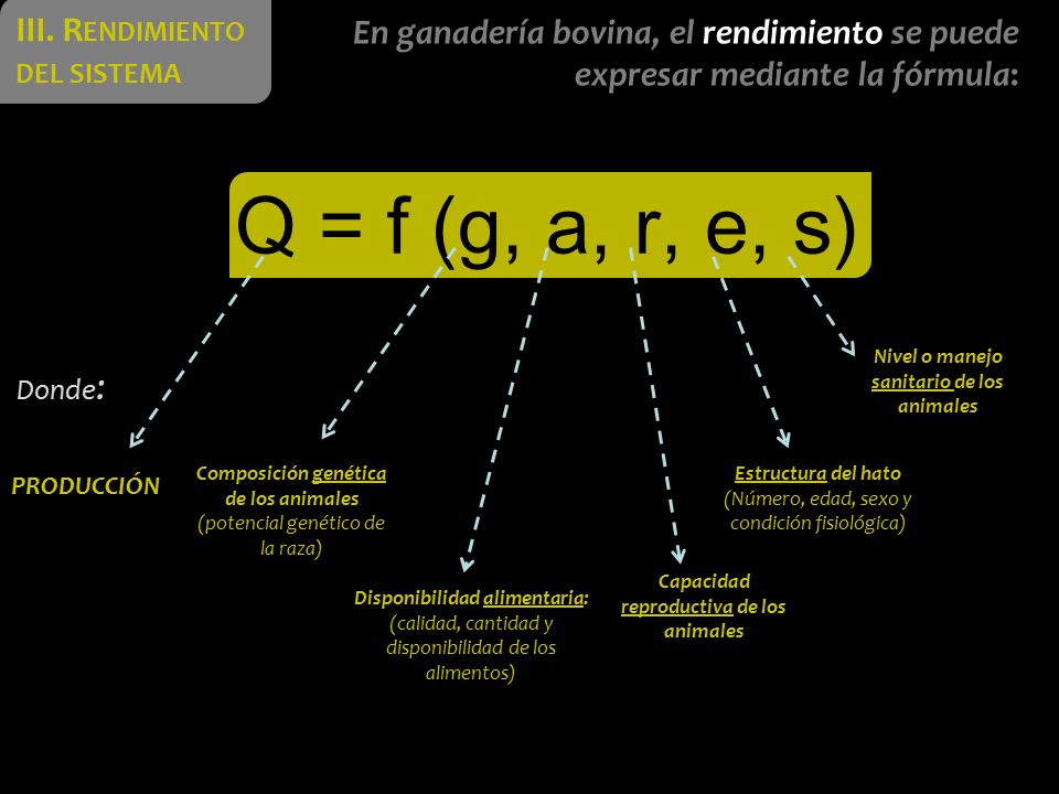 Q = f (g, a, r, e, s) III. Rendimiento del sistema