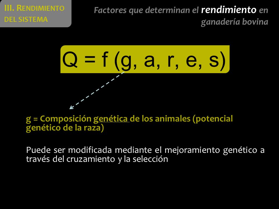 Q = f (g, a, r, e, s) III. Rendimiento del sistema