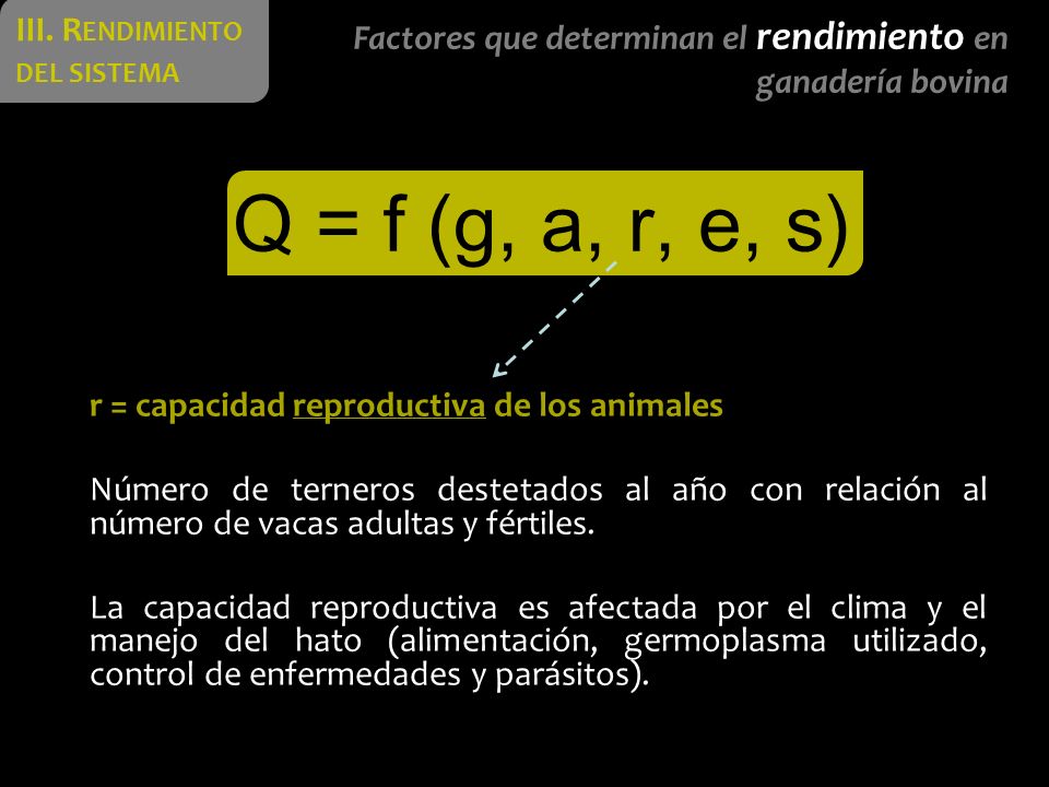 Q = f (g, a, r, e, s) III. Rendimiento del sistema