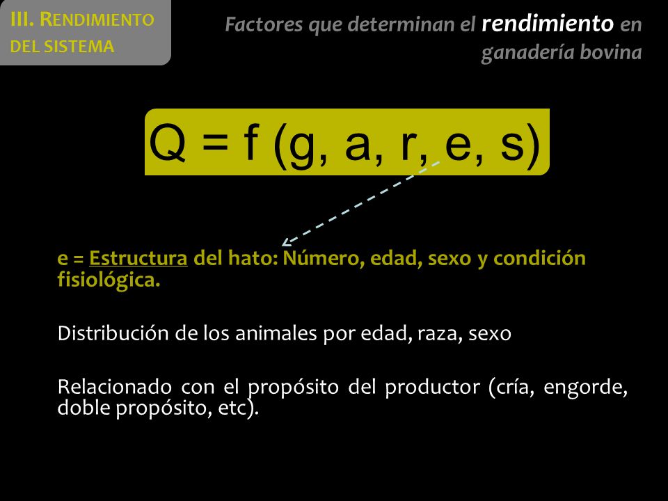 Q = f (g, a, r, e, s) III. Rendimiento del sistema