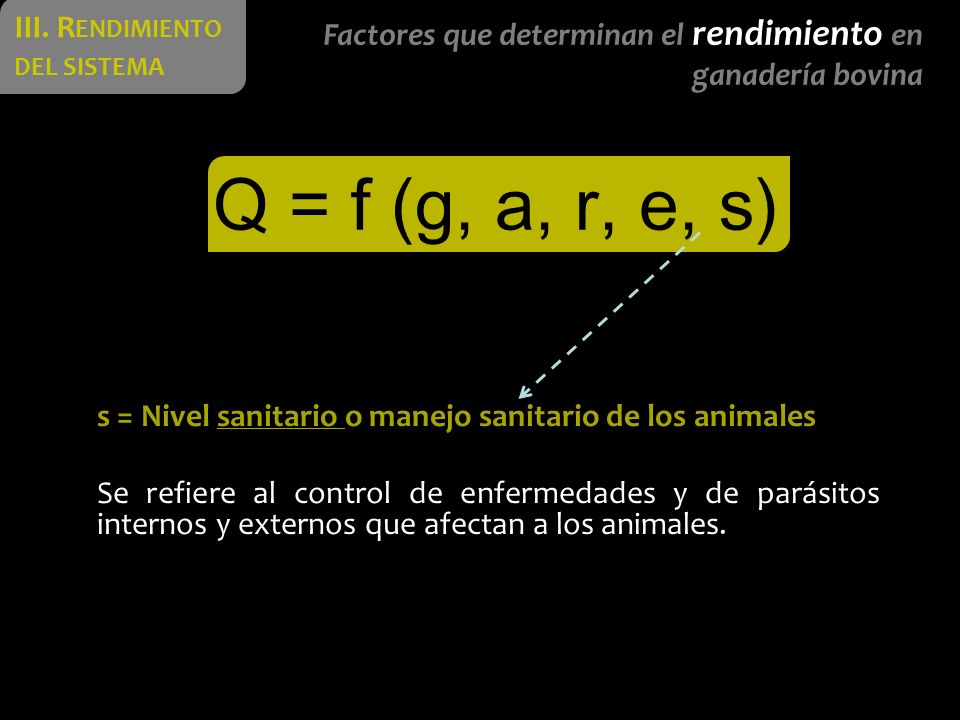 Q = f (g, a, r, e, s) III. Rendimiento del sistema