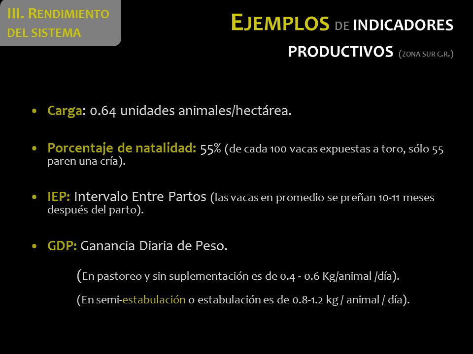 Ejemplos de indicadores productivos (zona sur c.r.)