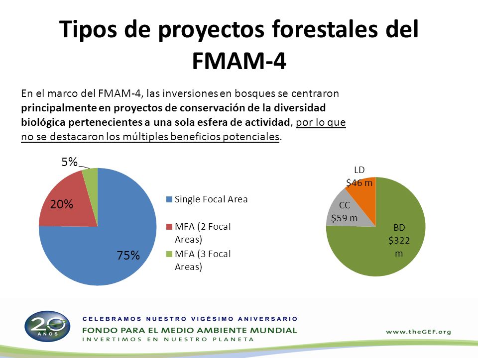 Tipos de proyectos forestales del FMAM-4