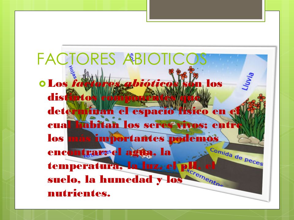 FACTORES ABIOTICOS