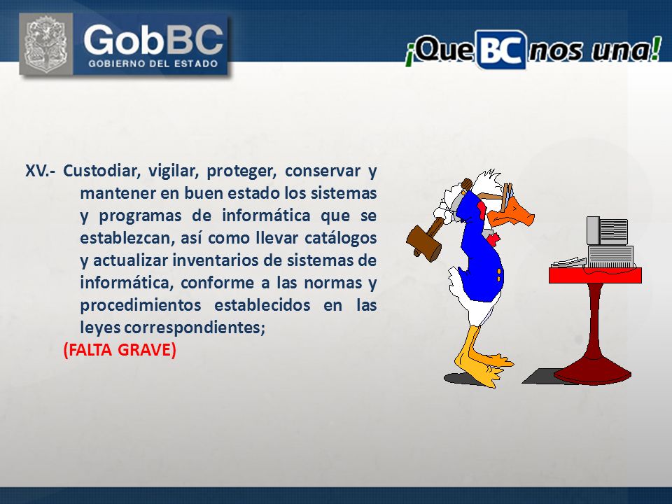 XV.- Custodiar, vigilar, proteger, conservar y mantener en buen estado los sistemas y programas de informática que se establezcan, así como llevar catálogos y actualizar inventarios de sistemas de informática, conforme a las normas y procedimientos establecidos en las leyes correspondientes;