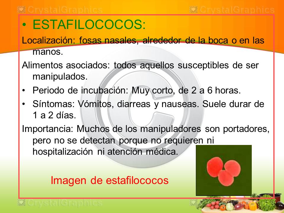 ESTAFILOCOCOS: Localización: fosas nasales, alrededor de la boca o en las manos.