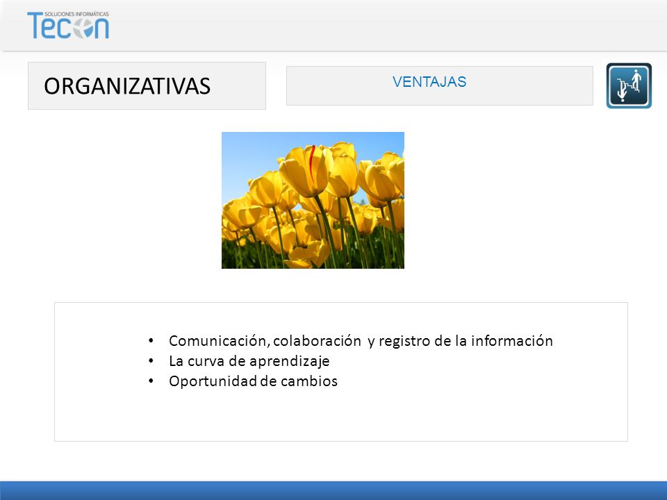 ORGANIZATIVAS Comunicación, colaboración y registro de la información