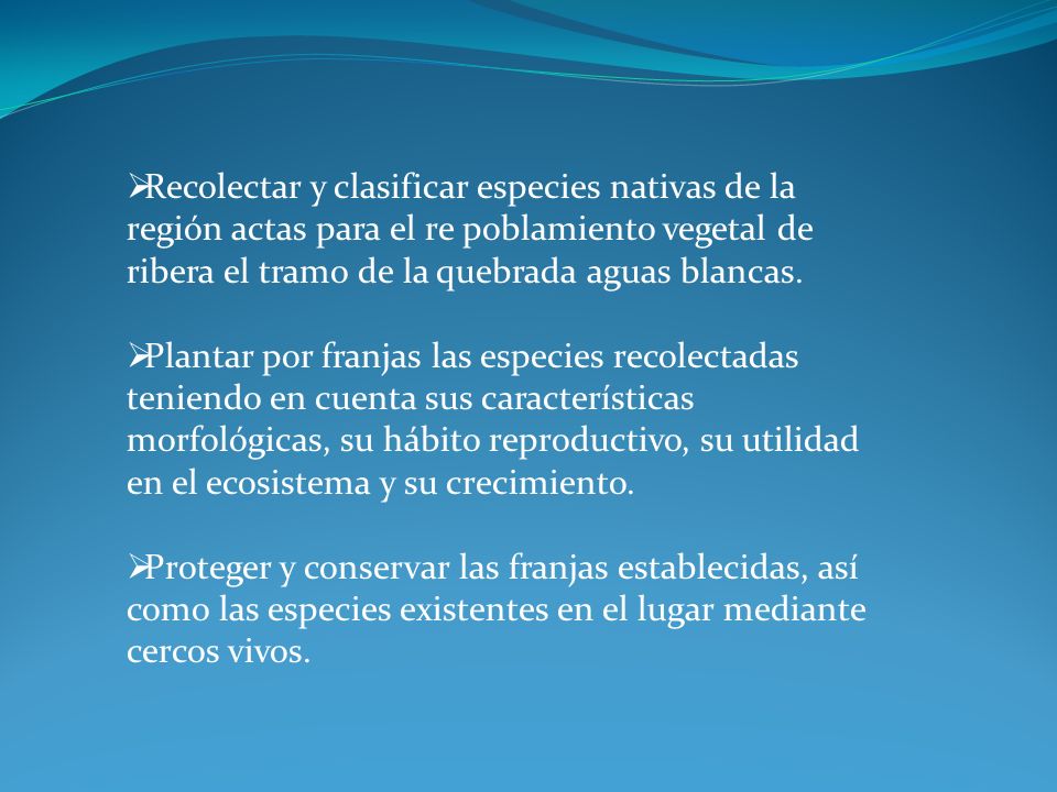 Recolectar y clasificar especies nativas de la región actas para el re poblamiento vegetal de ribera el tramo de la quebrada aguas blancas.