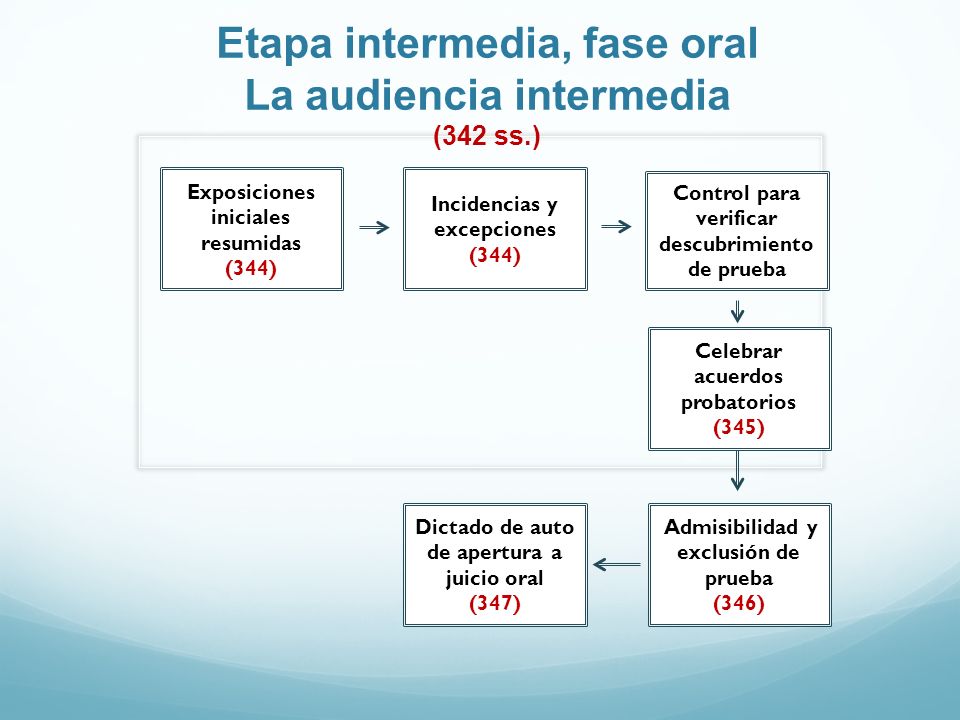 Etapa intermedia, fase oral La audiencia intermedia (342 ss.)