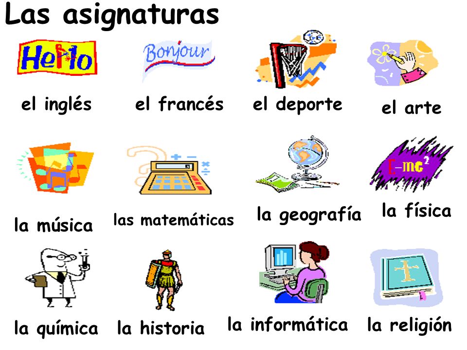 Las asignaturas el inglés el francés el deporte el arte la física