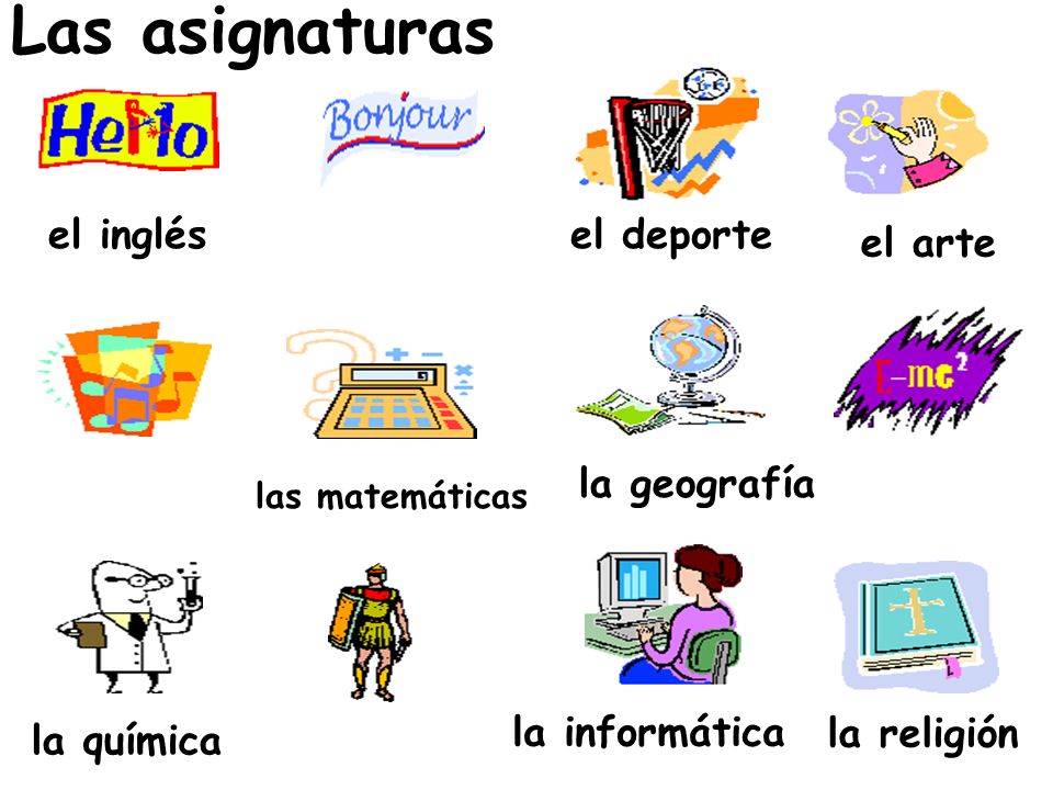 Las asignaturas el inglés el deporte el arte la geografía