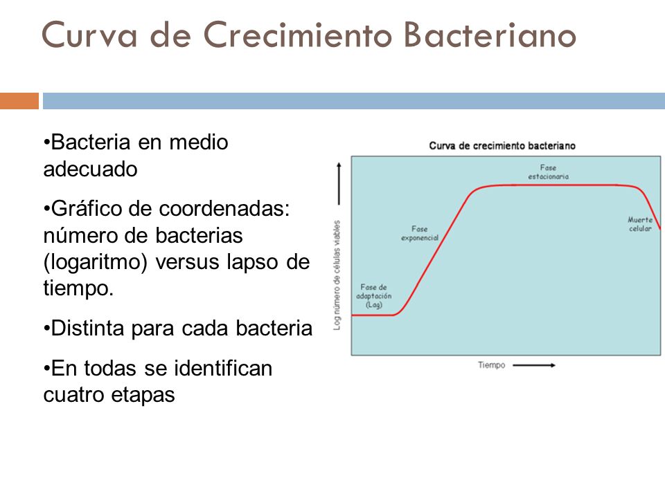 Curva de Crecimiento Bacteriano
