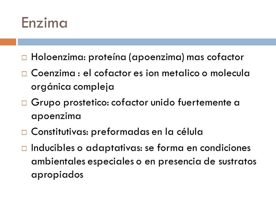 Enzima Holoenzima: proteína (apoenzima) mas cofactor