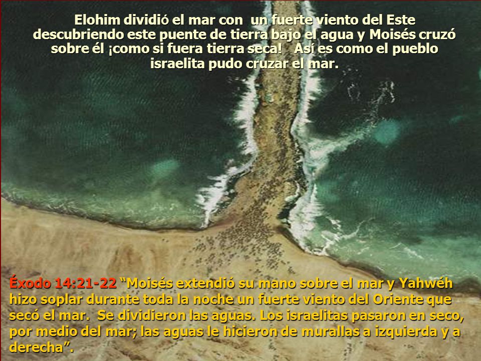 Elohim dividió el mar con un fuerte viento del Este descubriendo este puente de tierra bajo el agua y Moisés cruzó sobre él ¡como si fuera tierra seca! Así es como el pueblo israelita pudo cruzar el mar.