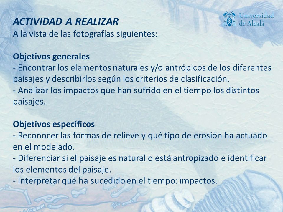 ACTIVIDAD A REALIZAR A la vista de las fotografías siguientes: