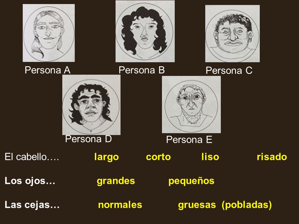 Persona A Persona B. Persona C. Persona D. Persona E. El cabello…. largo corto liso risado.