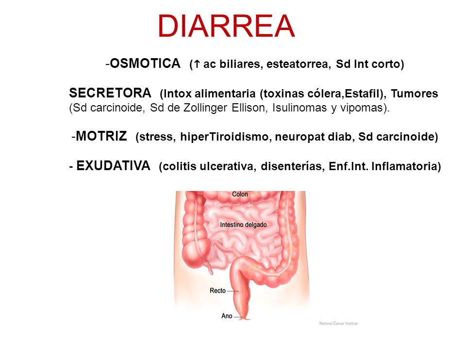 DIARREA OSMOTICA ( ac biliares, esteatorrea, Sd Int corto)