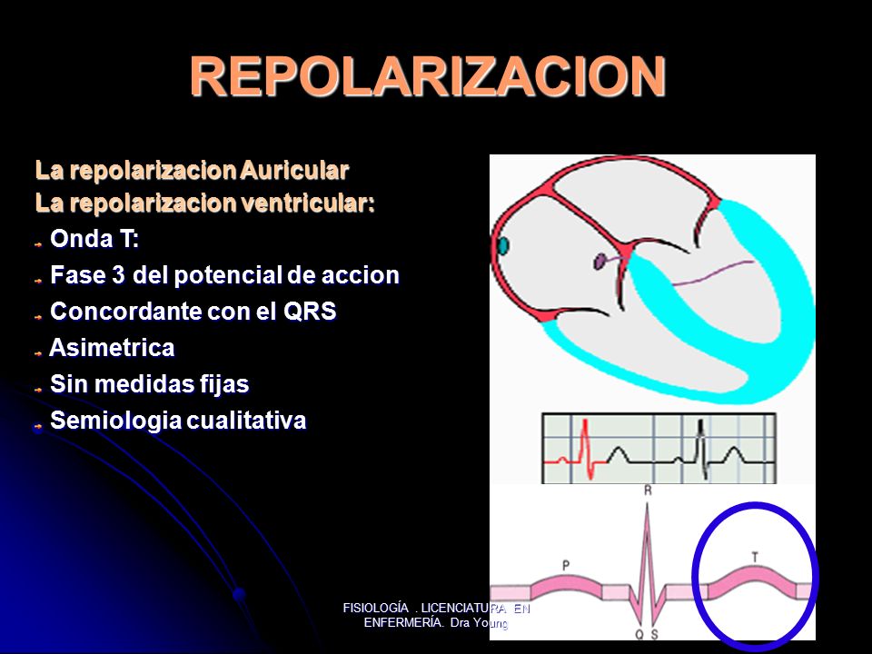 FISIOLOGÍA . LICENCIATURA EN ENFERMERÍA. Dra Young