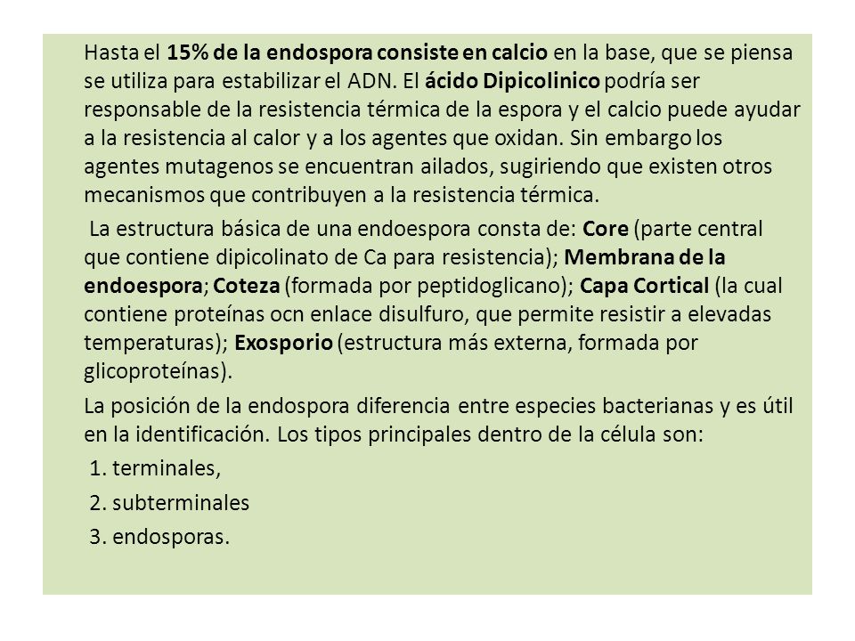 Hasta el 15% de la endospora consiste en calcio en la base, que se piensa se utiliza para estabilizar el ADN.