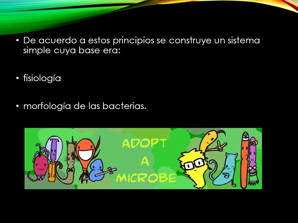De acuerdo a estos principios se construye un sistema simple cuya base era: