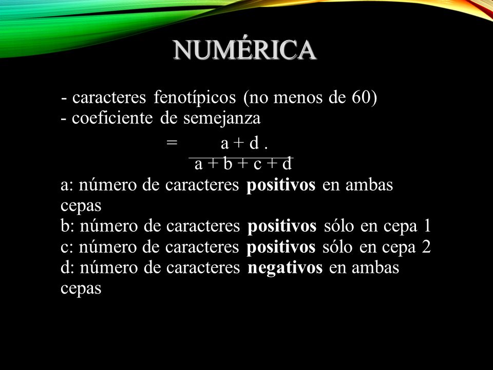 NUMÉRICA - caracteres fenotípicos (no menos de 60) - coeficiente de semejanza.