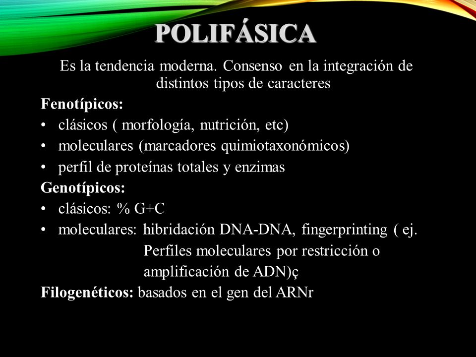 POLIFÁSICA Es la tendencia moderna. Consenso en la integración de distintos tipos de caracteres. Fenotípicos: