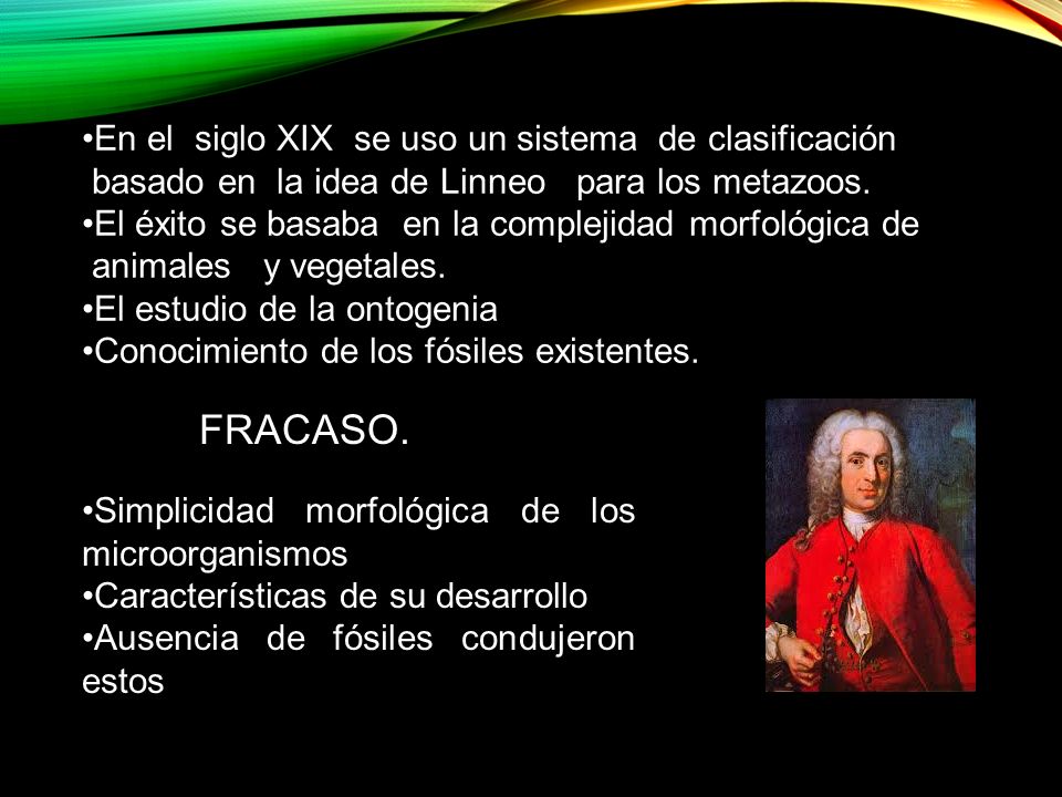 FRACASO. En el siglo XIX se uso un sistema de clasificación