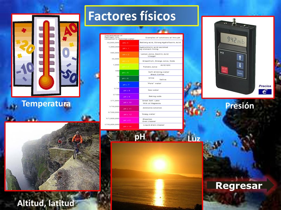 Factores físicos Temperatura Presión pH Luz Regresar Altitud, latitud
