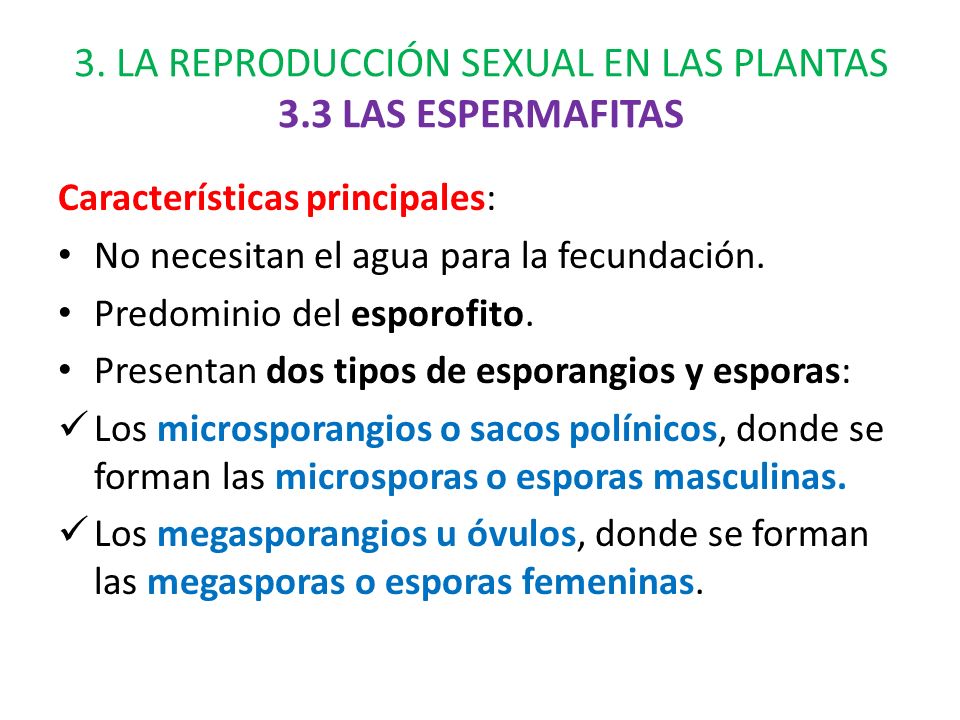 3. LA REPRODUCCIÓN SEXUAL EN LAS PLANTAS 3.3 LAS ESPERMAFITAS