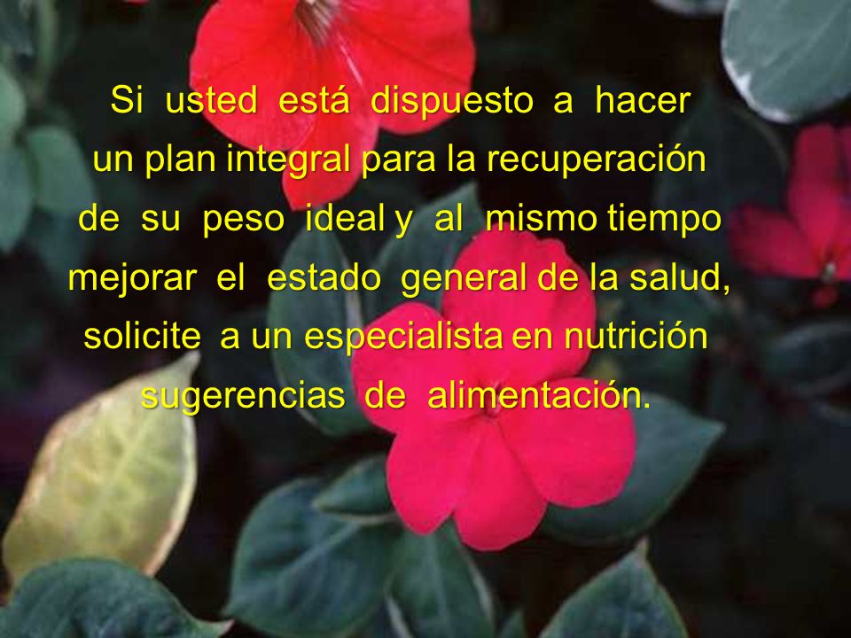 Si usted está dispuesto a hacer un plan integral para la recuperación