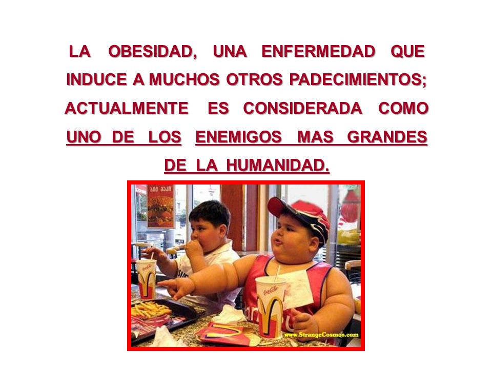 LA OBESIDAD, UNA ENFERMEDAD QUE INDUCE A MUCHOS OTROS PADECIMIENTOS;