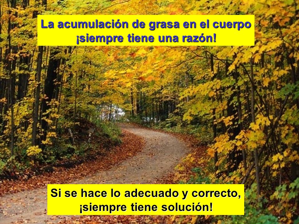 La acumulación de grasa en el cuerpo ¡siempre tiene una razón!