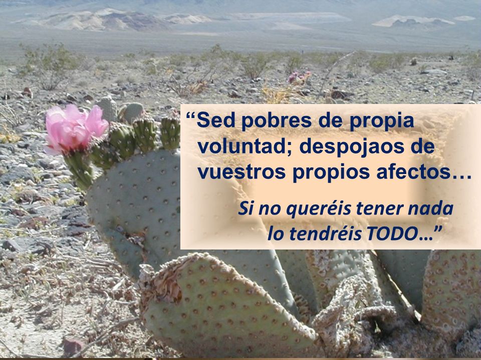 Sed pobres de propia voluntad; despojaos de. vuestros propios afectos… Si no queréis tener nada.