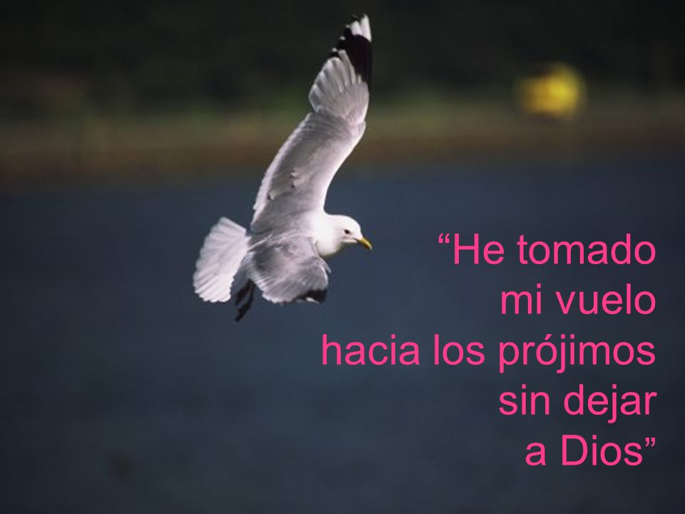 He tomado mi vuelo hacia los prójimos sin dejar a Dios