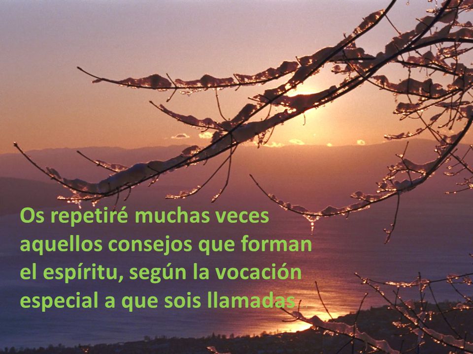 Os repetiré muchas veces aquellos consejos que forman el espíritu, según la vocación especial a que sois llamadas…