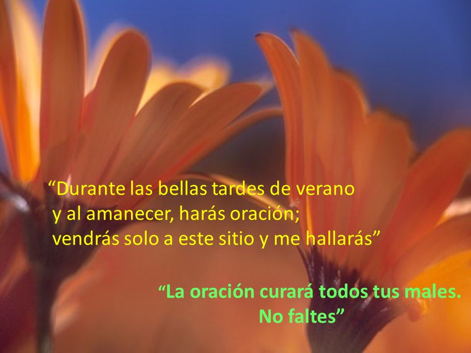 Durante las bellas tardes de verano y al amanecer, harás oración;