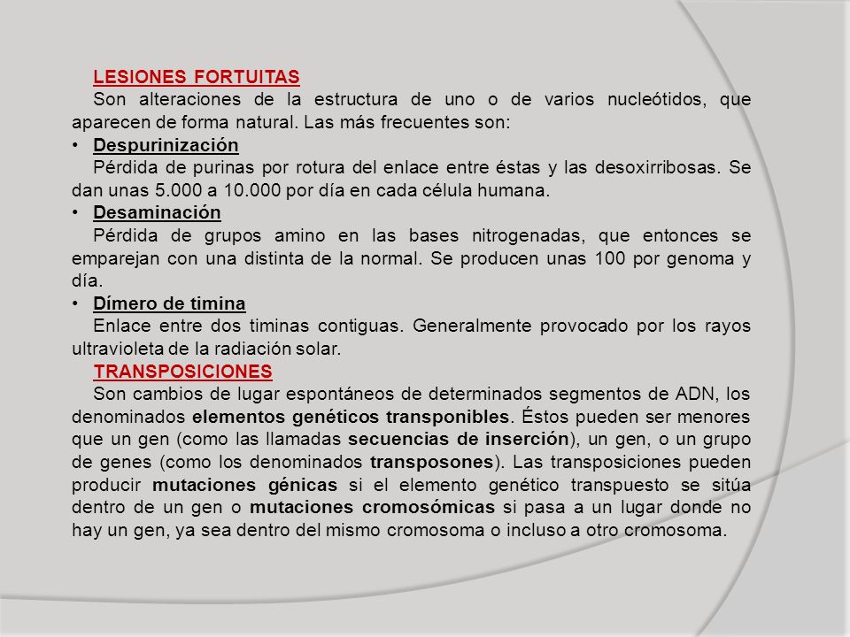 LESIONES FORTUITAS Son alteraciones de la estructura de uno o de varios nucleótidos, que aparecen de forma natural. Las más frecuentes son: