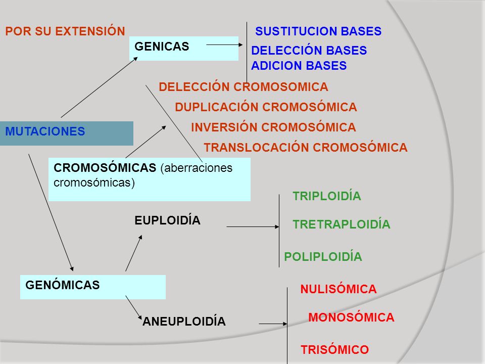 POR SU EXTENSIÓN SUSTITUCION BASES. GENICAS. DELECCIÓN BASES. ADICION BASES. DELECCIÓN CROMOSOMICA.