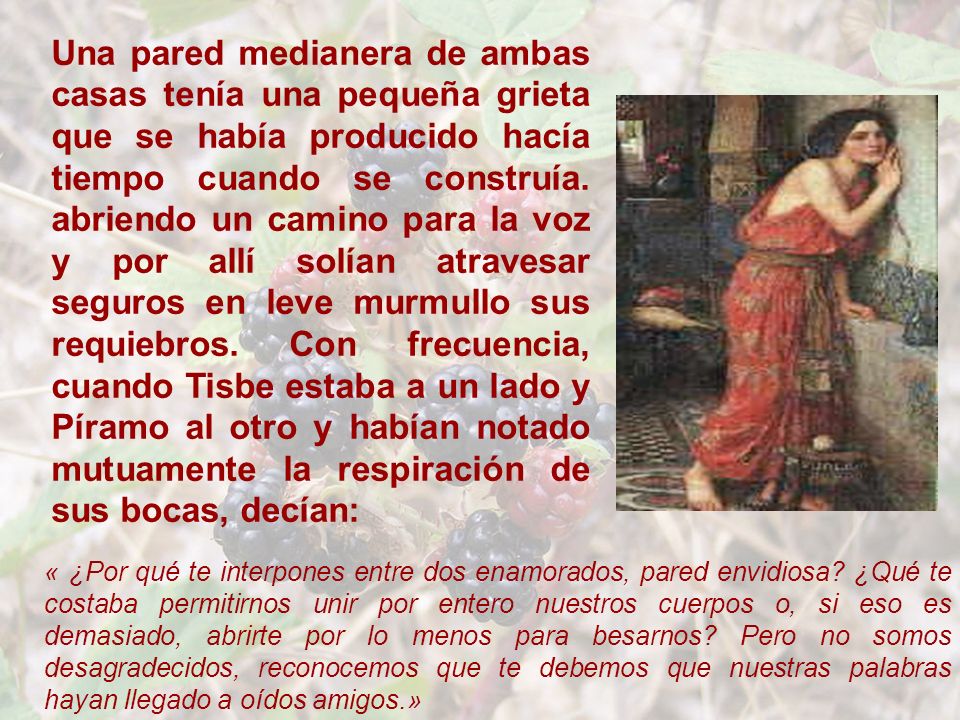Una pared medianera de ambas casas tenía una pequeña grieta que se había producido hacía tiempo cuando se construía. abriendo un camino para la voz y por allí solían atravesar seguros en leve murmullo sus requiebros. Con frecuencia, cuando Tisbe estaba a un lado y Píramo al otro y habían notado mutuamente la respiración de sus bocas, decían: