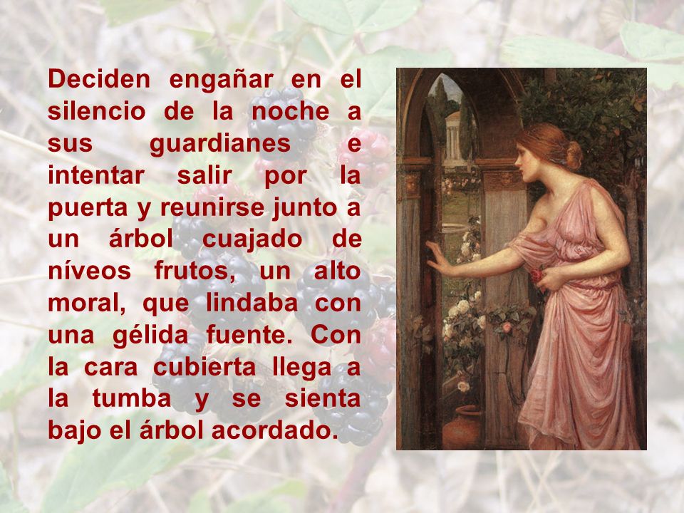 Deciden engañar en el silencio de la noche a sus guardianes e intentar salir por la puerta y reunirse junto a un árbol cuajado de níveos frutos, un alto moral, que lindaba con una gélida fuente.