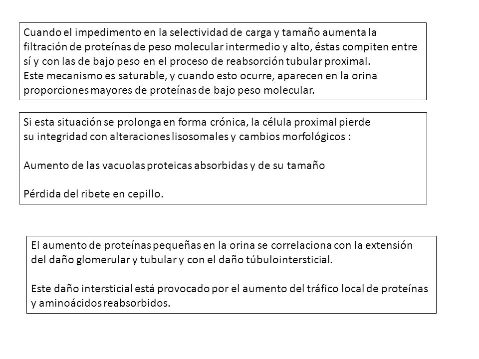 Cuando el impedimento en la selectividad de carga y tamaño aumenta la