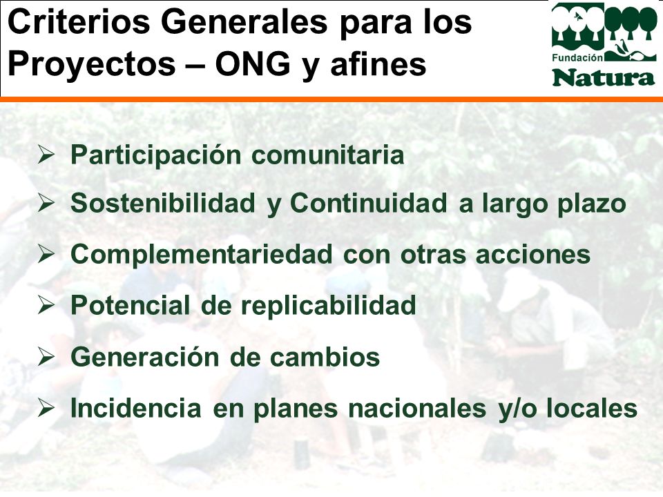 Criterios Generales para los Proyectos – ONG y afines