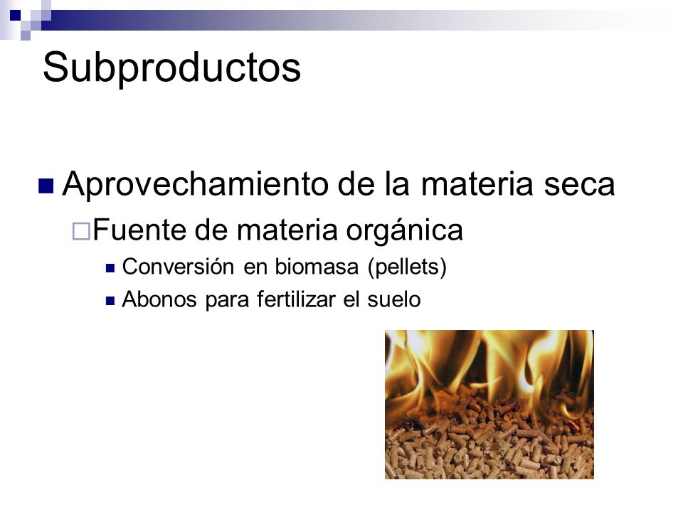 Subproductos Aprovechamiento de la materia seca