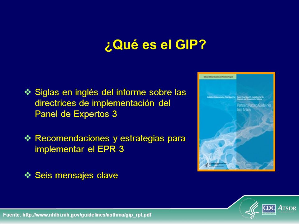 ¿Qué es el GIP Siglas en inglés del informe sobre las directrices de implementación del Panel de Expertos 3.