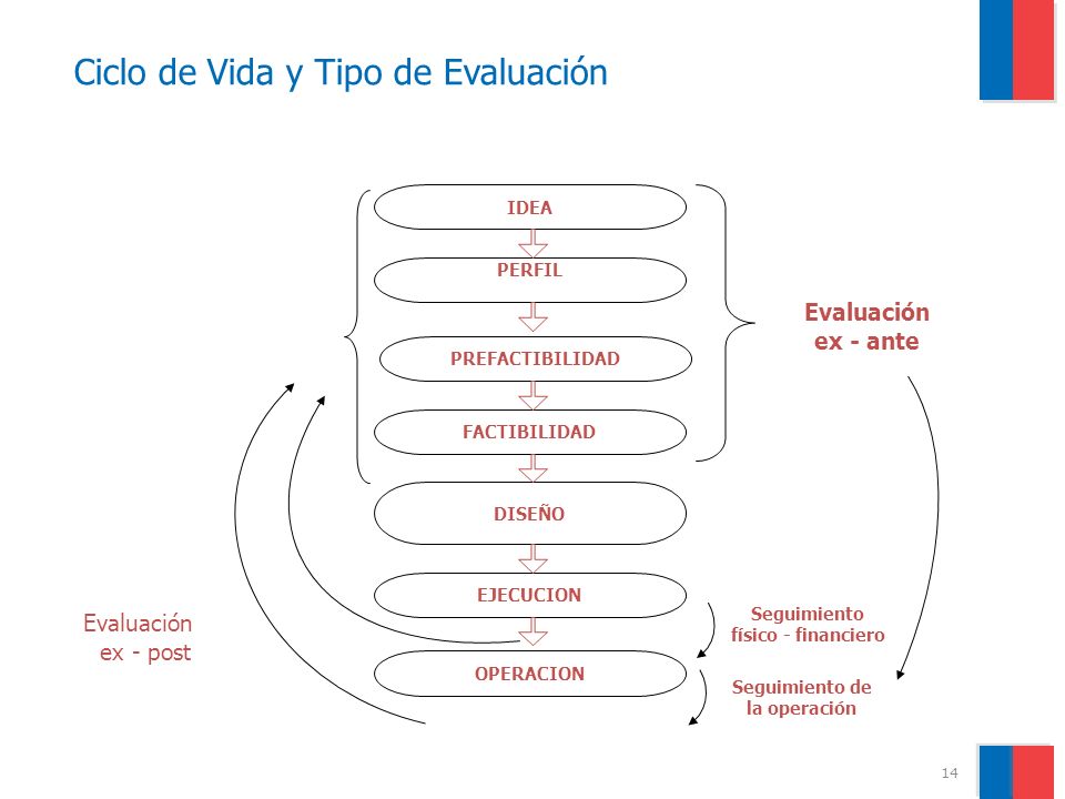Ciclo de Vida y Tipo de Evaluación