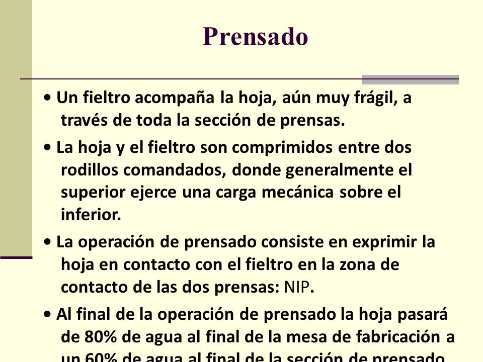 Prensado • Un fieltro acompaña la hoja, aún muy frágil, a través de toda la sección de prensas.