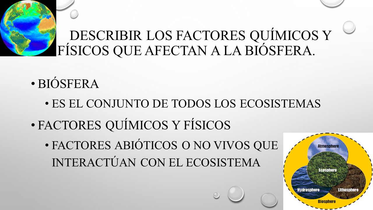 Describir los factores químicos y físicos que afectan a la biósfera.
