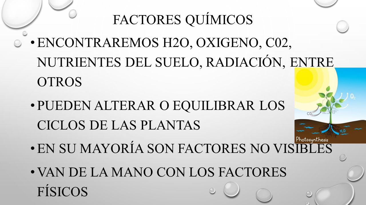 Factores químicos Encontraremos H2o, Oxigeno, C02, Nutrientes del suelo, radiación, entre otros.