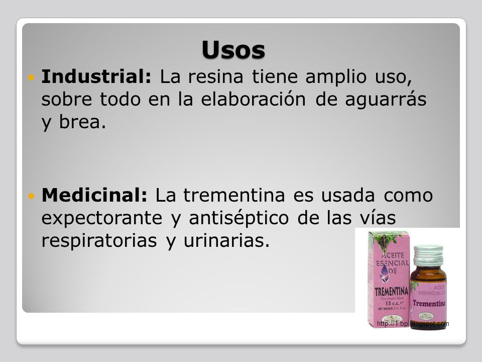 Usos Industrial: La resina tiene amplio uso, sobre todo en la elaboración de aguarrás y brea.